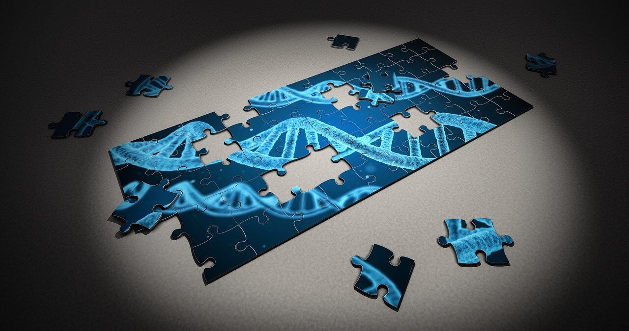 12 Tools To Analyze Your Raw DNA Data