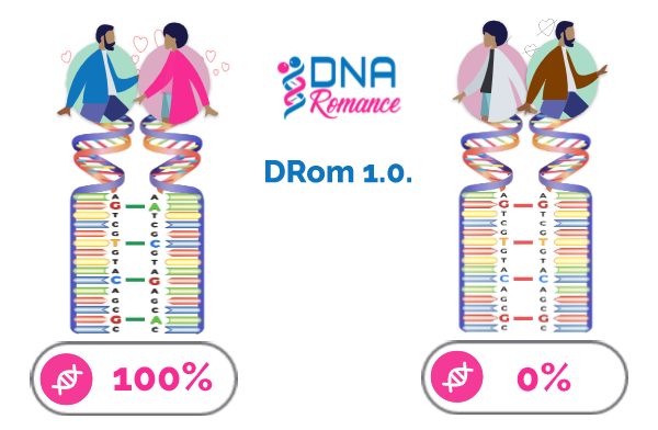 DNA Rmance DRom1.0 Predicts Chemistry