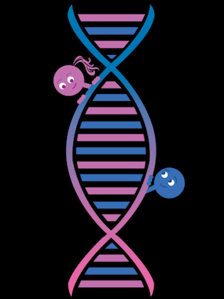 The genes for love, DNA dating